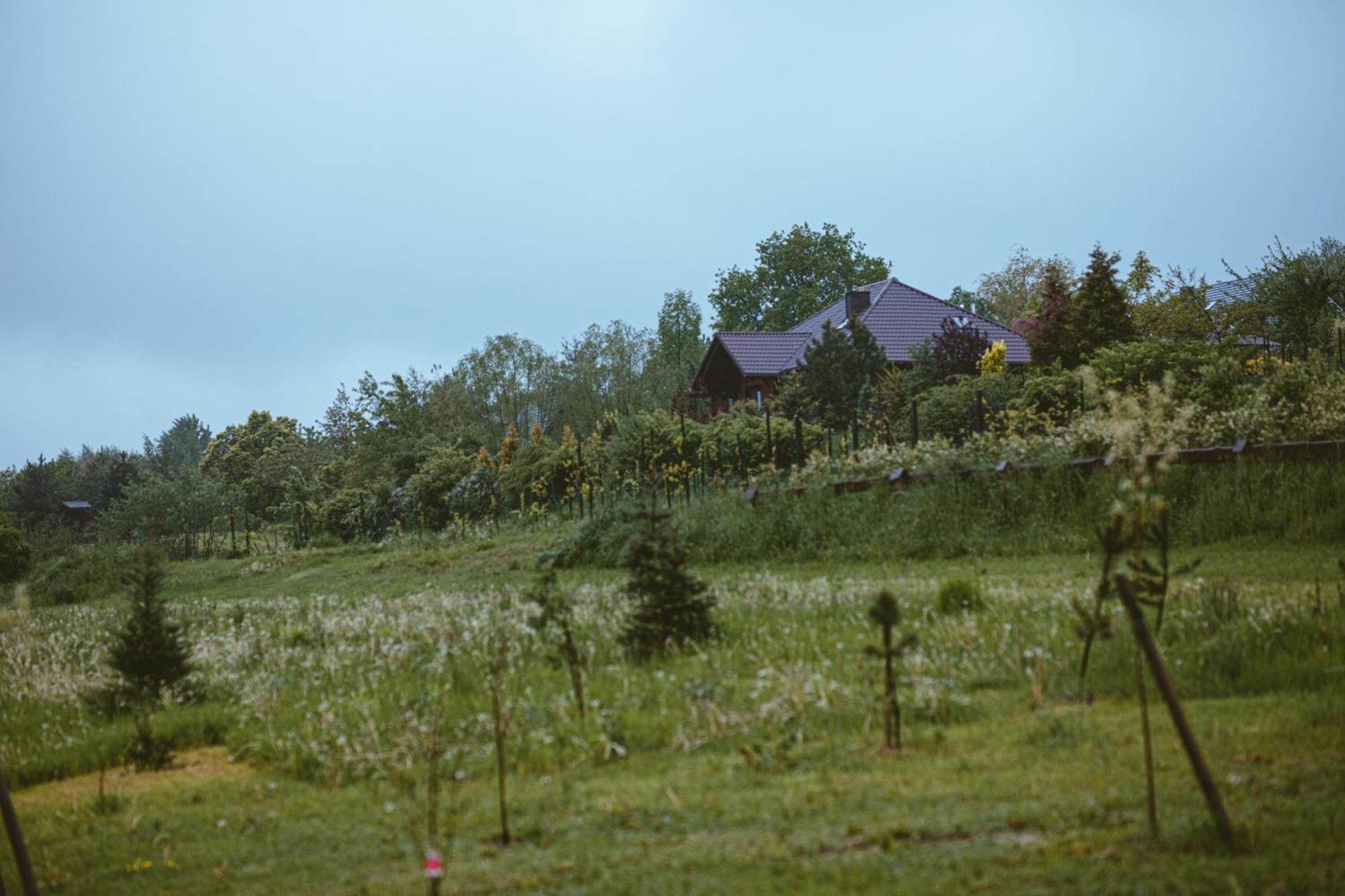 Domki Na Gorniej Lace - Domek Slowik Lazany Luaran gambar